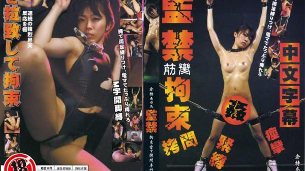 问答无用 #87 CA-205